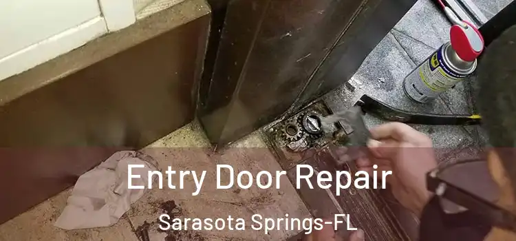 Entry Door Repair Sarasota Springs-FL