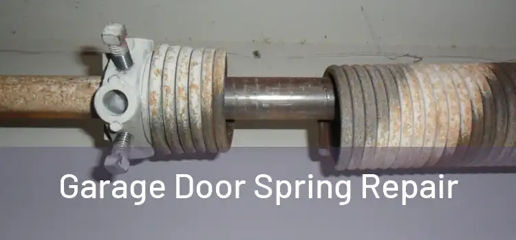  Garage Door Spring Repair 
